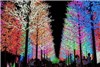 باغی با هزاران لامپ در ژاپن