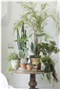 10 چیدمان متفاوت گیاهان آپارتمانی در دکوراسیون منزل!