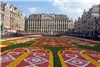 جشنواره فرش گل بروکسل؛ بلژیک +عکس