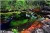 رنگی ترین رودخانه جهان +عکس
