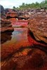 رنگی ترین رودخانه جهان +عکس