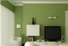 استفاده از این سبزهای خوشرنگ در اتاق نشیمن