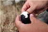 تخم‌مرغ های جادوییِ دره اواکودانی (ژاپن)