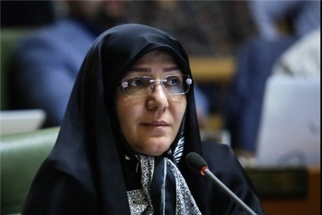 انتقاد رئیس عضو شورای شهر تهران از تأخیر در اصلاح لایحه حفظ و گسترش فضای سبز