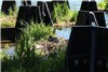 تصاویر پارک شناوری که با زباله های بازیافتی ساخته شد