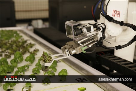 باغچه رباتیک را ببینید/ با 90 درصد صرفه جویی آب