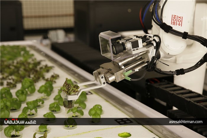 باغچه رباتیک را ببینید/ با 90 درصد صرفه جویی آب