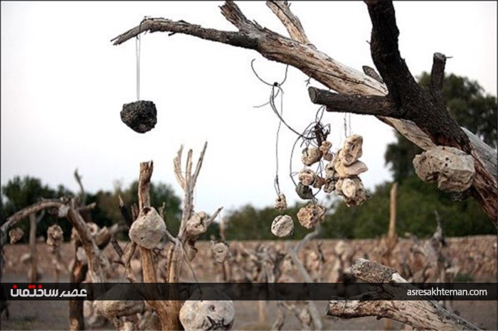 باغی مرموز در کرمان که میوه درختانش سنگ است + تصاویر