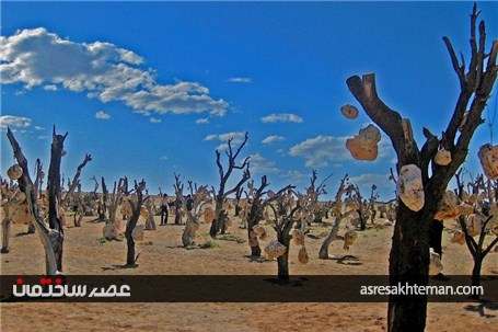 باغی مرموز در کرمان که میوه درختانش سنگ است + تصاویر