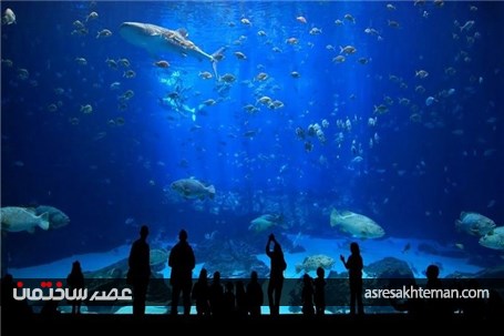  آکواریوم استانبول