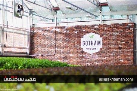 بزرگترین مزرعه جهان در پشت‌بام!+تصاویر