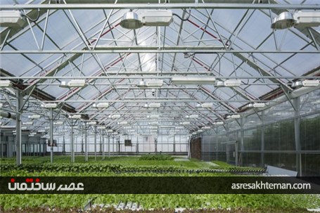 بزرگترین مزرعه جهان در پشت‌بام!+تصاویر