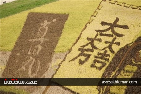 آثار هنری در مزرعه‌های برنج ژاپن