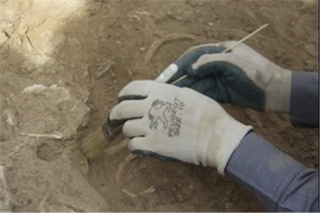 کشف گور تدفینی مرده سوزی در کاشان