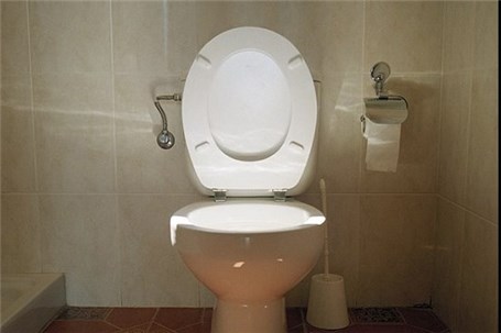 عجیب‎ترین صاحبخانه دنیا +عکس