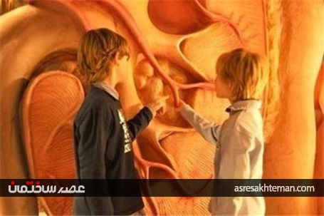 ساختمانی با الهام از بدن انسان! +عکس