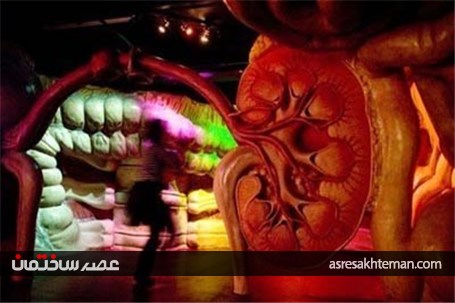 ساختمانی با الهام از بدن انسان! +عکس