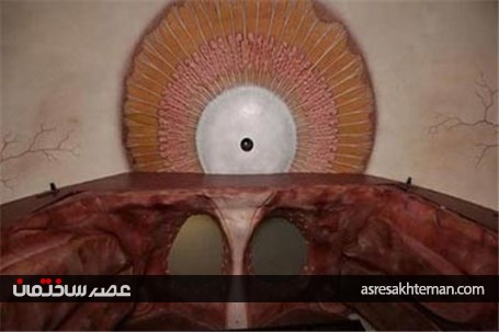 ساختمانی با الهام از بدن انسان! +عکس