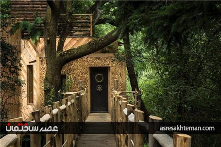 لوکس ترین خانه درختی انگلیس را در این تصاویر ببینید