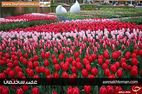 رنگی‌ترین سرزمین دنیا اینجاست! +تصاویر