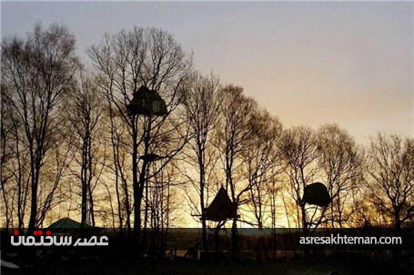 گزارش تصویری