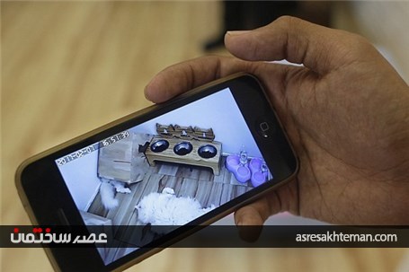 نخستین هتل 5 ستاره دنیا برای گربه ها+ تصاویر
