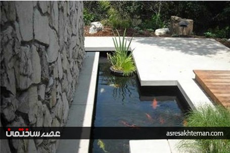 ماهی ها به کمک دکوراسیون می آیند!