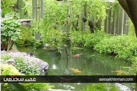 ماهی ها به کمک دکوراسیون می آیند!