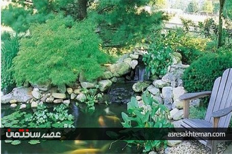 ماهی ها به کمک دکوراسیون می آیند!