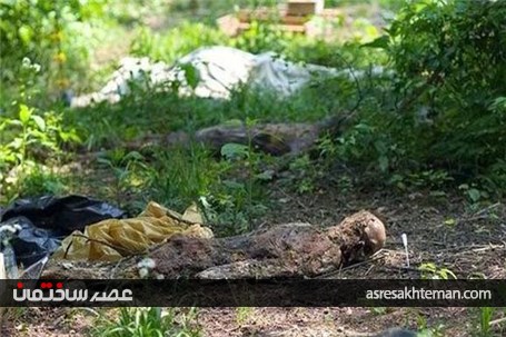 مزرعه وحشت انگیز مردگان در آمریکا /تصاویر (18+)