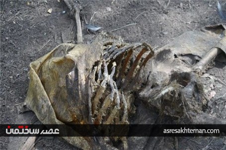 مزرعه وحشت انگیز مردگان در آمریکا /تصاویر (18+)