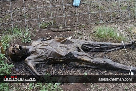 مزرعه وحشت انگیز مردگان در آمریکا /تصاویر (18+)