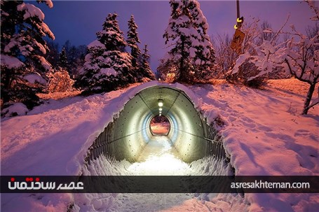 پل ها و تونل های خلاقانه و جالبی که در نقاط مختلف دنیا برای عبور حیوانات ساخته شده اند