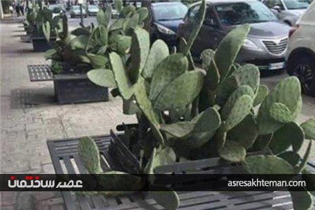 21 نمونه از جالب ترین و خنده دار ترین اشتباهات معماری-مهندسی که شما را شگفت زده می کنند
