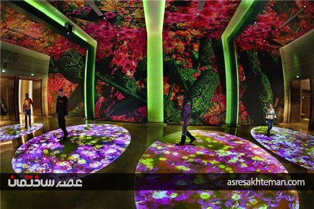 باغ دیجیتال از نور و نیلوفر آبی