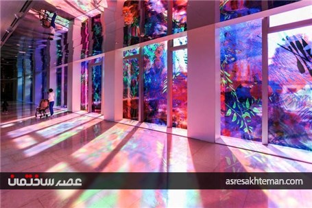 باغ دیجیتال از نور و نیلوفر آبی