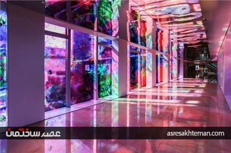 باغ دیجیتال از نور و نیلوفر آبی
