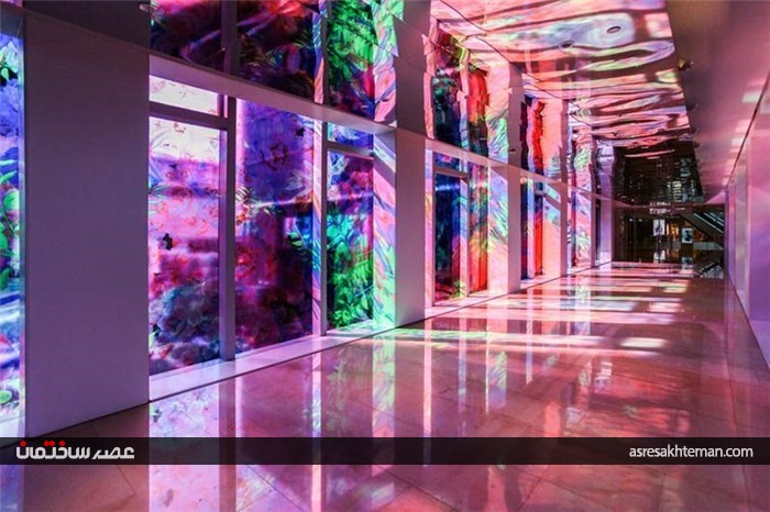 باغ دیجیتال از نور و نیلوفر آبی