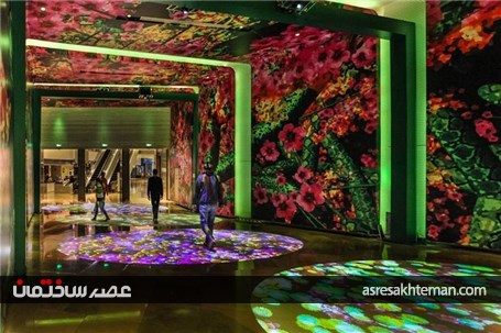 باغ دیجیتال از نور و نیلوفر آبی