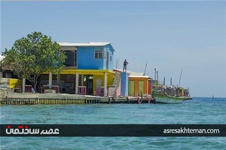 پرجمعیت ترین جزیره کوچک جهان! +تصاویر