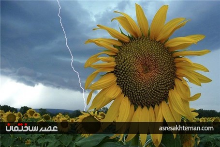 حیرت‌ انگیزترین تصاویر از صاعقه