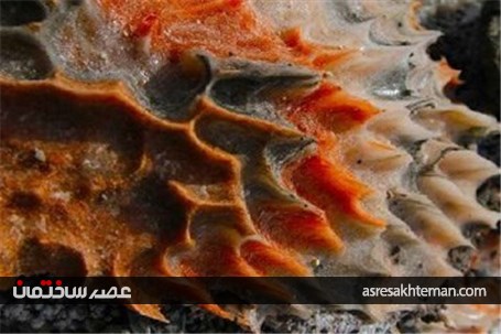 گردشگری نوروزی؛ گنبد نمکی جاشک