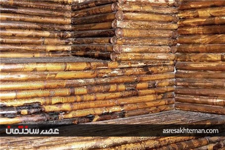 خانه ای از جنس مطبوعات +تصاویر