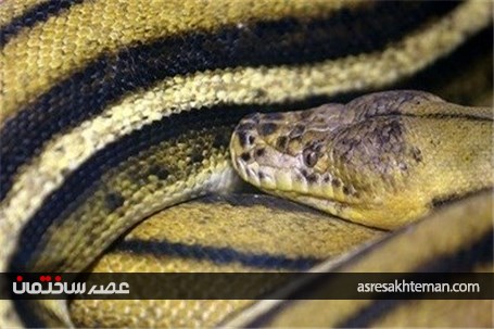 باغ خزندگان اصفهان