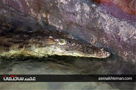 باغ خزندگان اصفهان