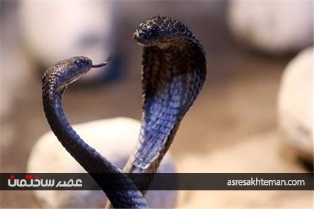 باغ خزندگان اصفهان