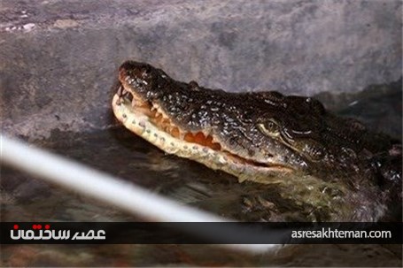 باغ خزندگان اصفهان