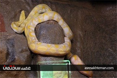 باغ خزندگان اصفهان