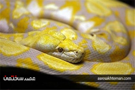 باغ خزندگان اصفهان