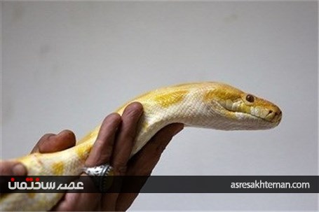 باغ خزندگان اصفهان